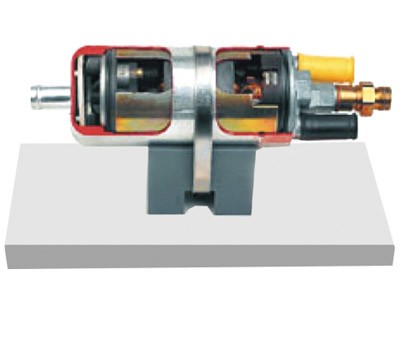 电控燃油泵解剖模型
